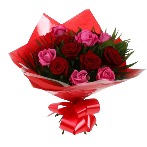 12 Blush Roses Pink & Red & Roses Bouquet