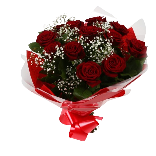 12 Red Roses With Gypsophila