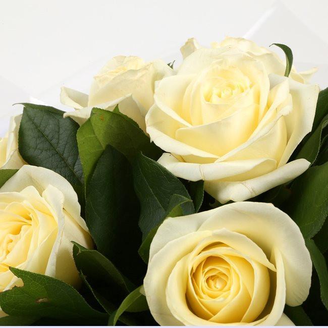 12 White Roses Bouquet12 WhiteRoses, ready to display immediately ...