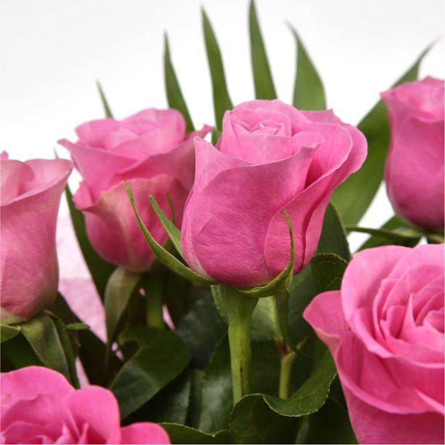 12 Beautiful Pink Roses BouquetPink Roses stylish luxury Pink Roses ...