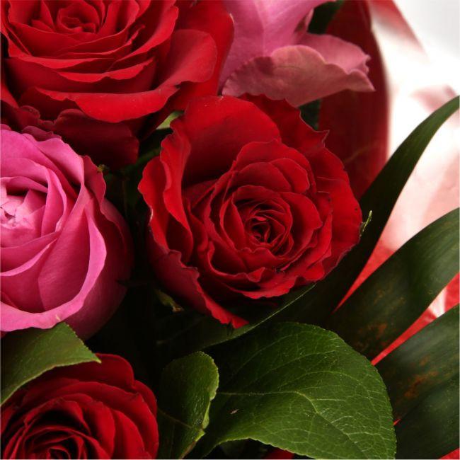 12 Red Pink Blush Rose BouquetThis beautiful selection of fresh 12 ...