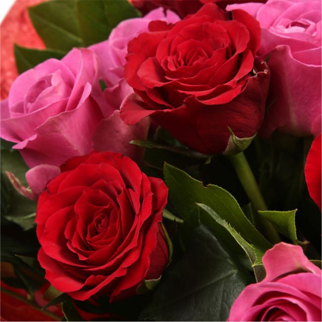 12 Red Pink Blush Rose BouquetThis beautiful selection of fresh 12 ...